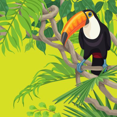 Tropikal bitki ve kuş canlı yaz arka plan. Şirin Toucan Liana dallarda oturuyor. Metin için yer. Vektör düz çizim.