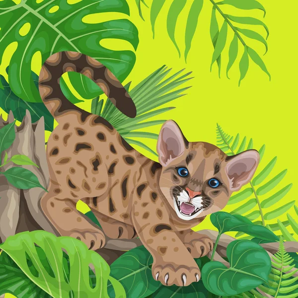 Achtergrond Van Levendige Zomer Met Tropische Planten Jonge Cougar Grappige — Stockvector