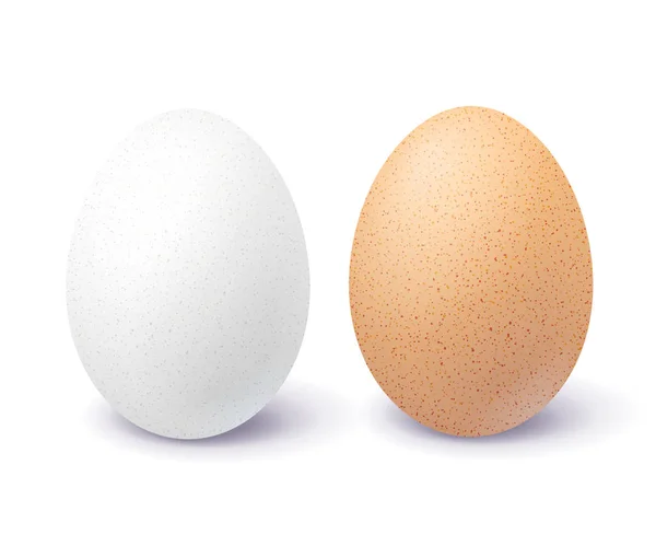 Λευκό Και Καφέ Αυγό Που Απομονώνονται Λευκό Φόντο Δύο Κινηματογραφήσεων — Διανυσματικό Αρχείο
