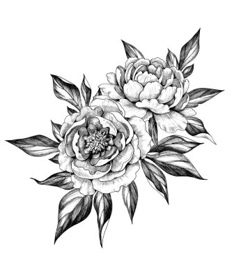 Elle çizilmiş Peonies yaprakları ile
