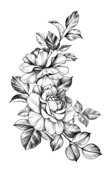 Hand drawn Composition with Roses and Leaves — 图库照片