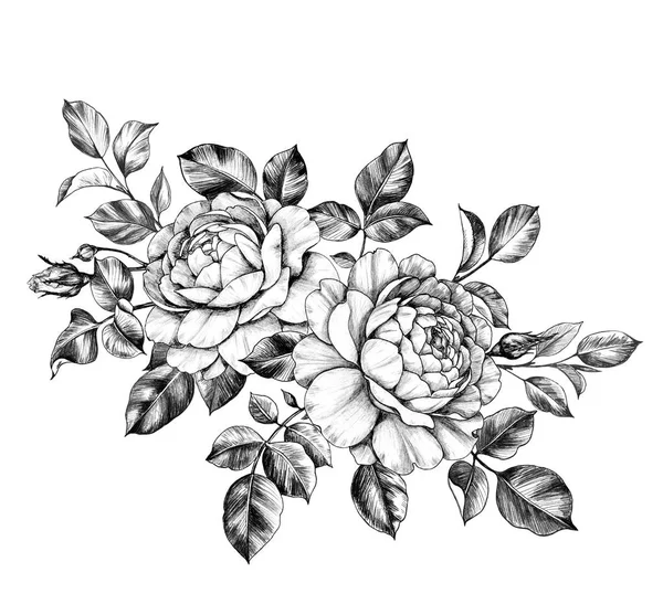 Hand getekend Floral bos met rozen — Stockfoto