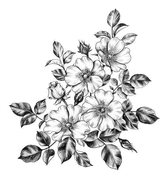 手绘的野玫瑰花束 — 图库照片