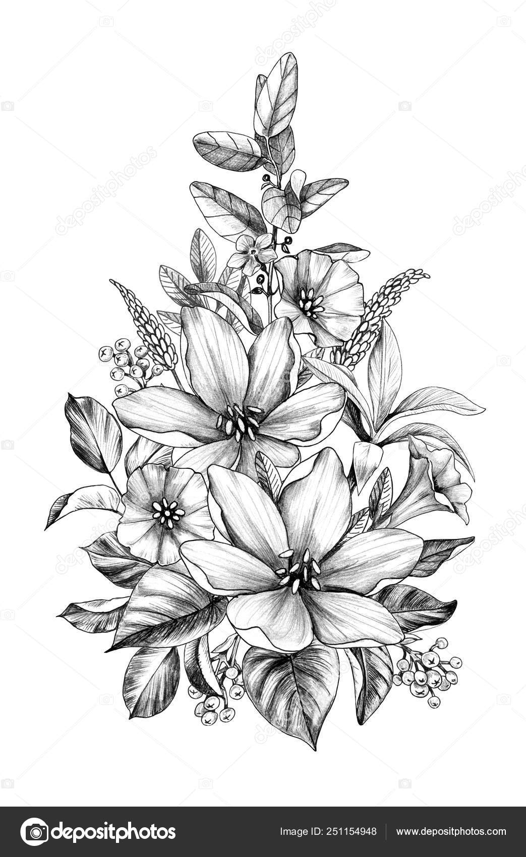 Hand drawn Bouquet with Various Flowers Stock Photo by ©Valiva ...