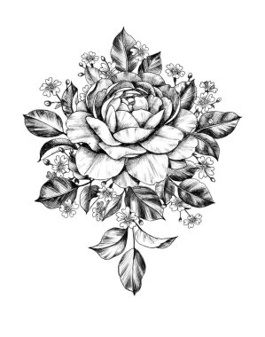 Gül ve Gypsophila ile el çizilmiş çiçek Bunch