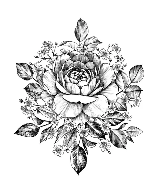 手绘玫瑰与果蝇 — 图库照片