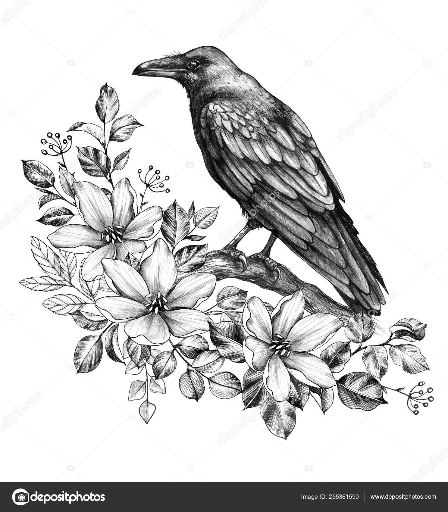 Raven On Branch Drawing Raven With Flowers Pencil Drawing