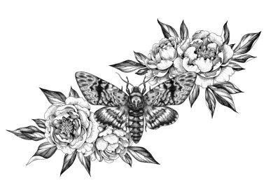 Hand Drawn Acherontia Styx Butterfly and Peonies clipart
