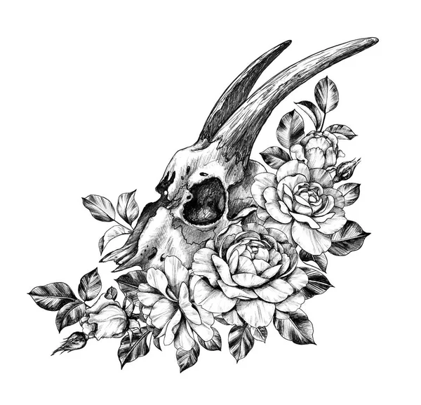 Ziegenschädel mit Rosen Bleistiftzeichnung — Stockfoto