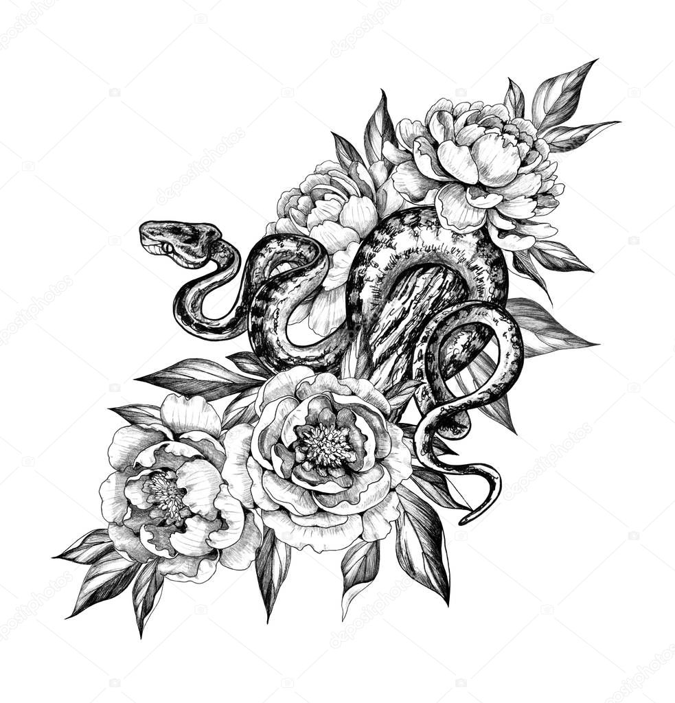 Hand Drawn Monochrome Creeping Python among Peony Flowers