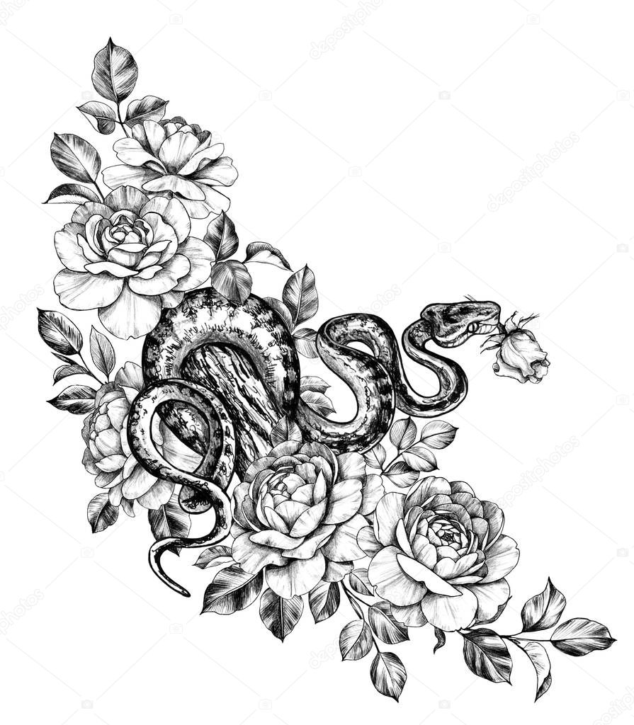 Hand Drawn Monochrome Creeping Python among Rose Flowers