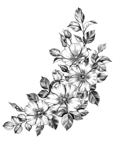 El Çizilmiş Köpek Gül Çiçekleri Köşe Kompozisyonu — Stok fotoğraf