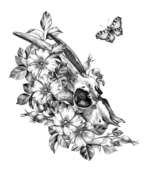 Ziegenschädel, Hunderosenblüten und fliegender Schmetterling — Stockfoto