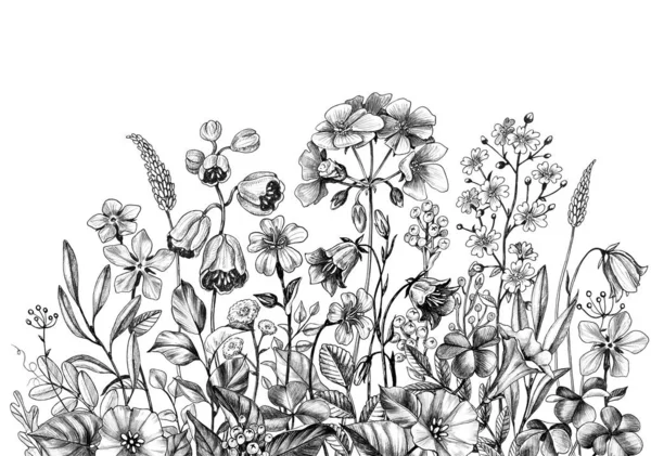 El Çizilmiş Yabani Bitkiler ve Çiçekler — Stok fotoğraf