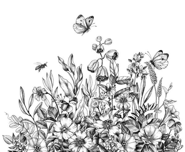 Fleurs sauvages, abeilles et papillons dessinés à la main — Photo