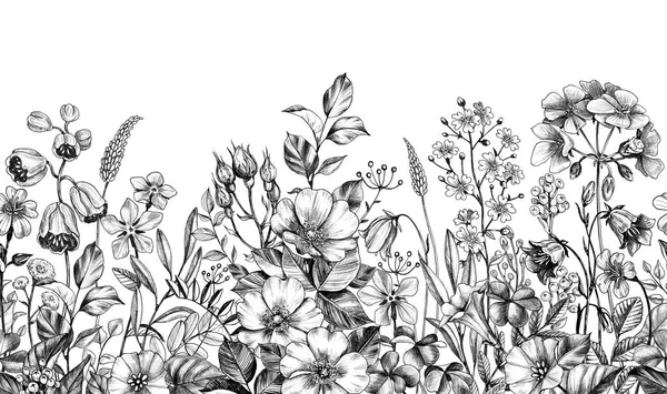 Wild Plants and Flowers Seamless Border — 스톡 사진