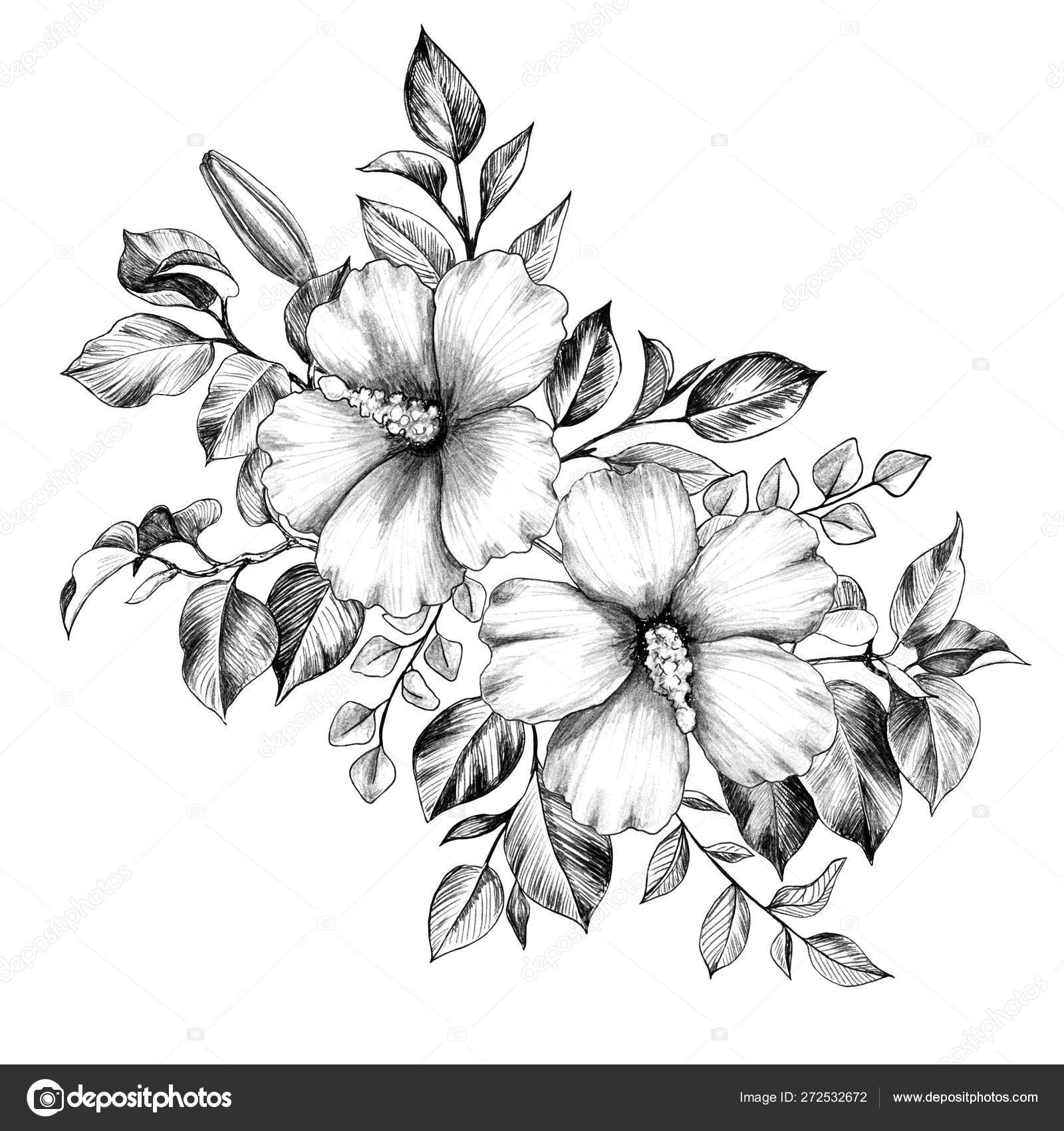 Bunch desenhado à mão com flores de Hibisco Ilustração de ©Valiva #272532672, image size:1600x1700
