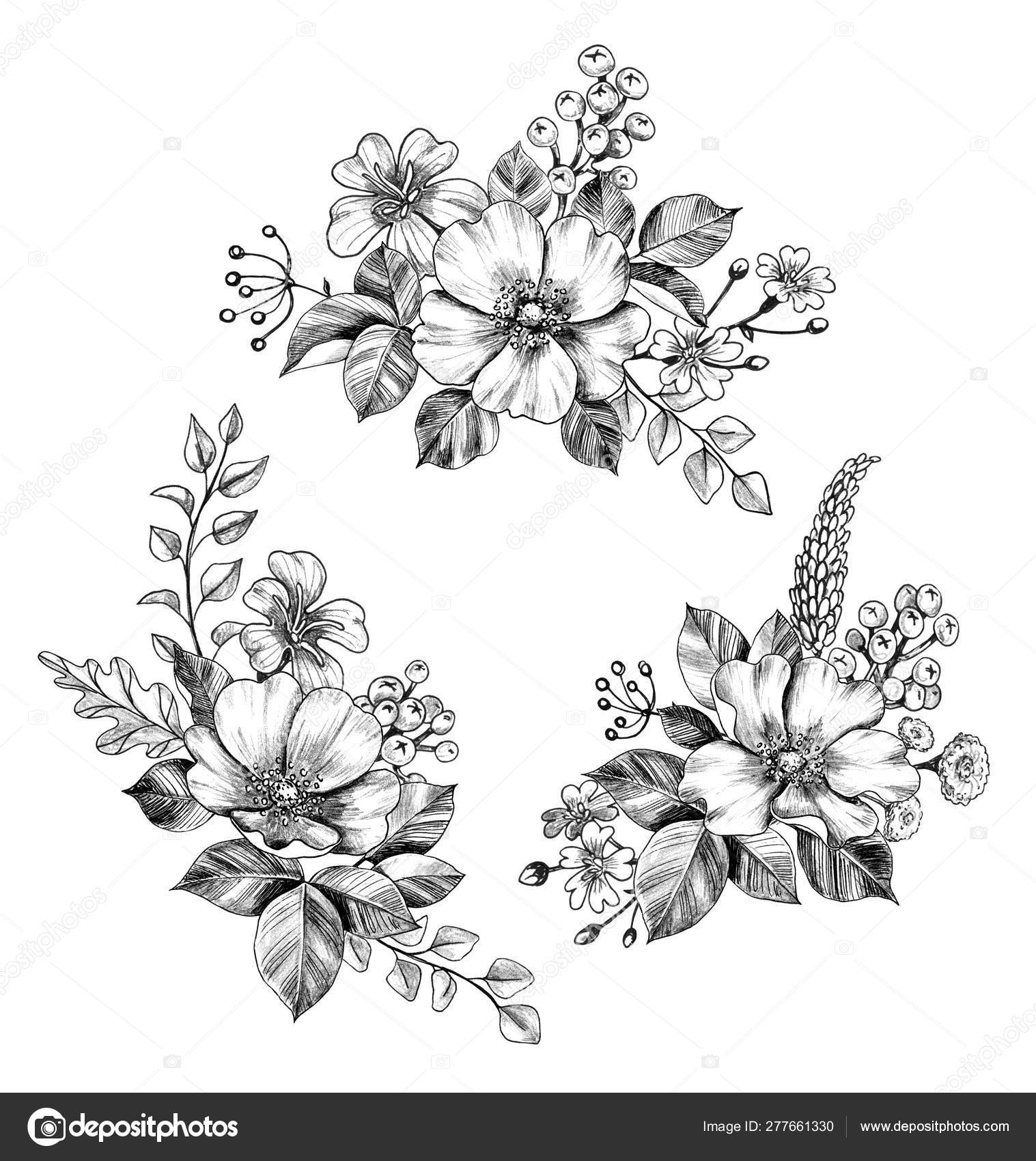 https://st4.depositphotos.com/2488555/27766/i/1600/depositphotos_277661330-stock-illustration-hand-drawn-flowers-bunches-set.jpg