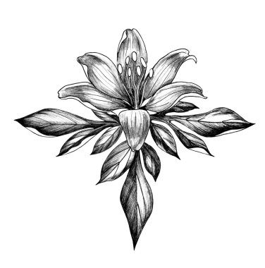 Yapraklı El Çizilmiş Zambak Çiçeği