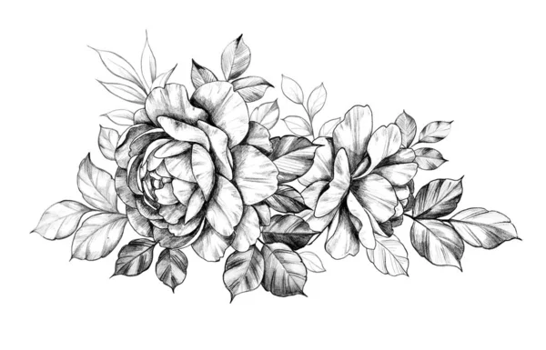 Composizione floreale disegnata a mano con due rose — Foto Stock