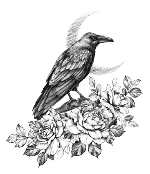 Raven with  Roses Pencil Drawing