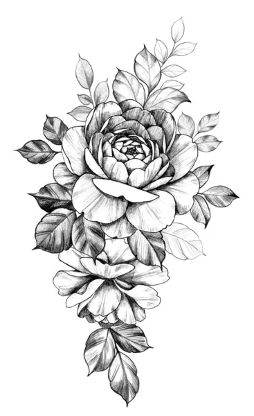 Composição floral desenhada à mão com rosas — Fotografia de Stock
