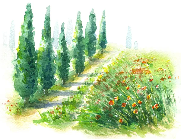 Akvarel venkovská scéna s Cypřiskovskými stromy a Poppyty — Stock fotografie