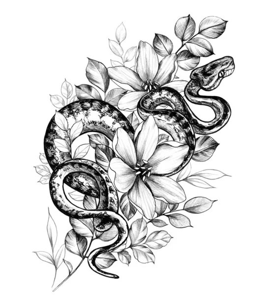 Kézzel rajzolt monokróm kúszó Python és virágok — Stock Fotó