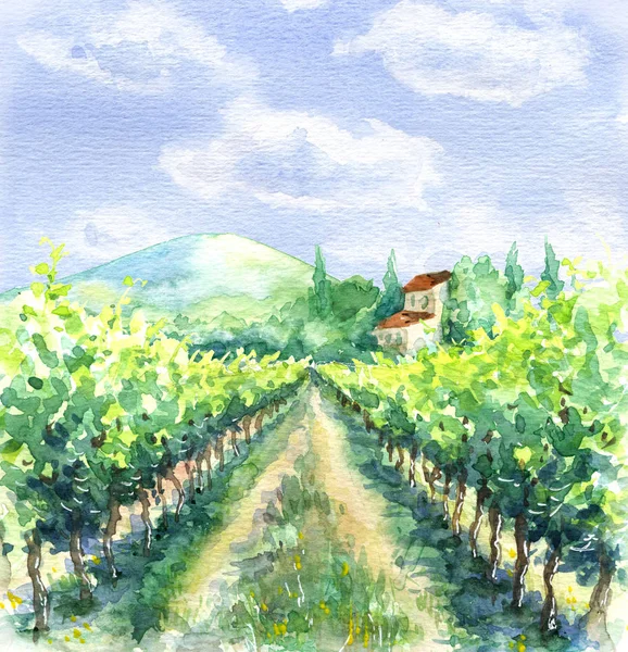 Watercolor Adegan pedesaan dengan Vineyard — Stok Foto