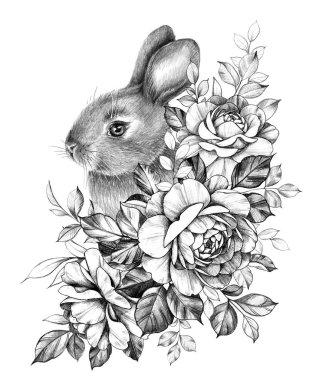 Güldemet ile Little Hare