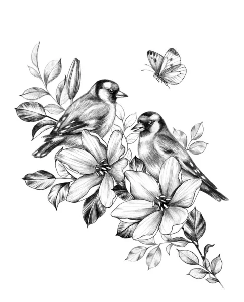 Hand Drawn Goldfinches  Sitting on Branch Flower — Stock Photo, Image
