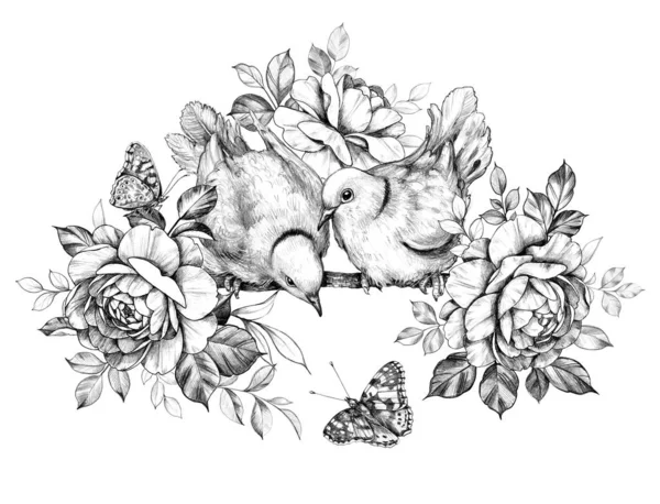 Περιστέρια ζευγάρι με τριαντάφυλλα και πεταλούδες με μολύβι σχέδιο — Φωτογραφία Αρχείου
