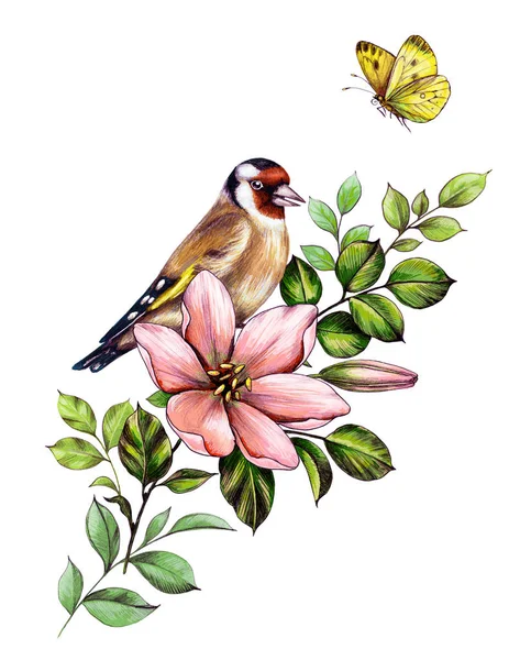 Рука нарисованная Goldfinch сидя на розовый цветок — стоковое фото