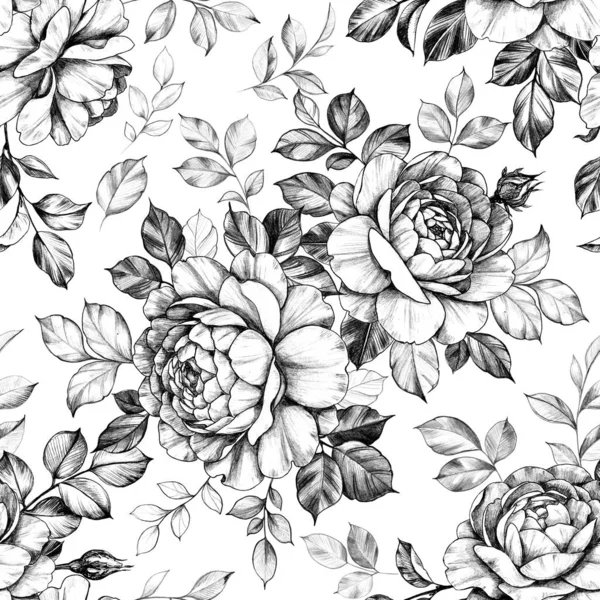 Hand Drawn Rose  Flowers Seamless Pattern — Stock Photo, Image