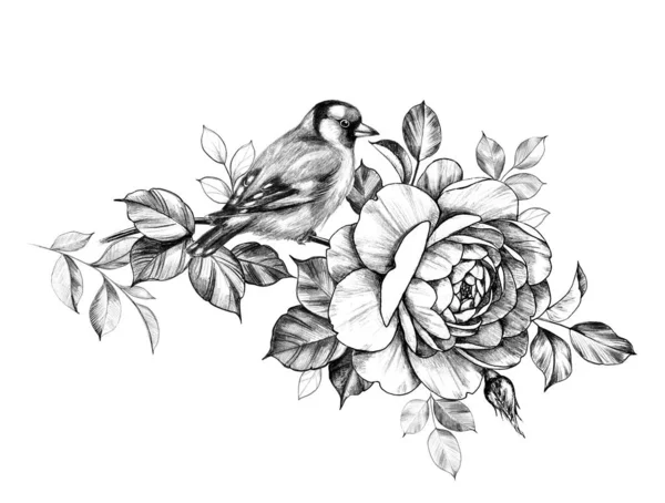 Rose Şubesinde Oturan Saka kuşu