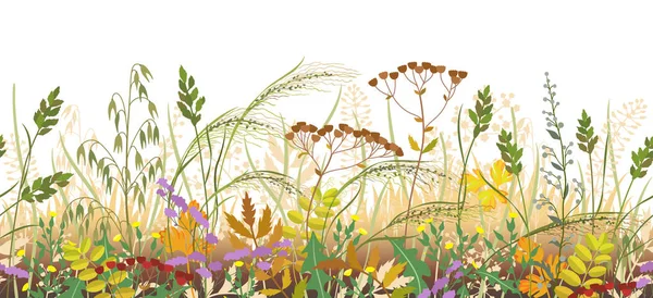 Autumn Meadow Plants Seamless Border — Stock Vector