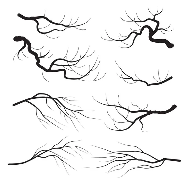 Baum Äste Silhouette gesetzt — Stockvektor