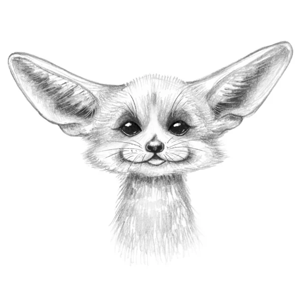 Dibujos animados dibujados a mano Fennec Fox Retrato — Foto de Stock