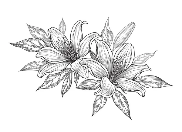 Ramo Dibujado Mano Con Flores Lirio Brote Hojas Aisladas Blanco — Archivo Imágenes Vectoriales