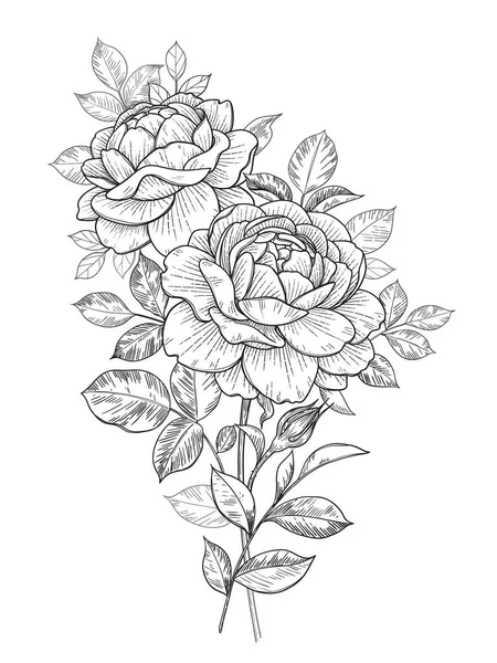 Handgezeichnete Rosenblüte Und Blätterstrauß Isoliert Auf Weiß Vector Line Art — Stockvektor