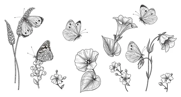 Yapımı Kır Çiçekleri Boş Arka Planda Izole Edilmiş Kelebekler Siyah — Stok Vektör