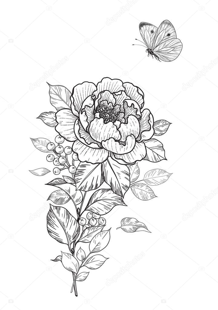 Hand drawn peony and butterfly isolated on blank background. Black and white single flower and flying moth. Vector monochrome elegant floral composition in vintage style, tattoo design, template.