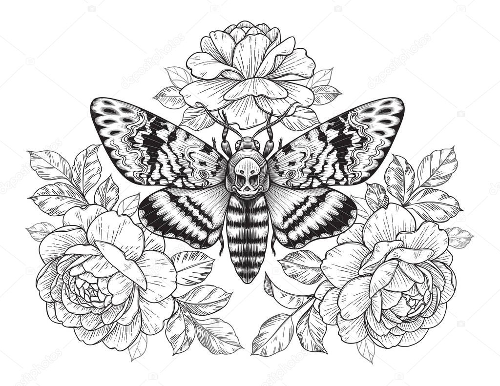 Hand drawn Acherontia Styx butterfly and Rose flowers on white. Monochrome elegant floral composition with Death's-Head Hawk Moth. Vector illustration in vintage style, tattoo art, t-shirt design.