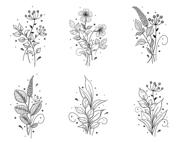 Ensemble Grappes Dessinées Main Isolées Sur Fond Blanc Petites Fleurs — Image vectorielle