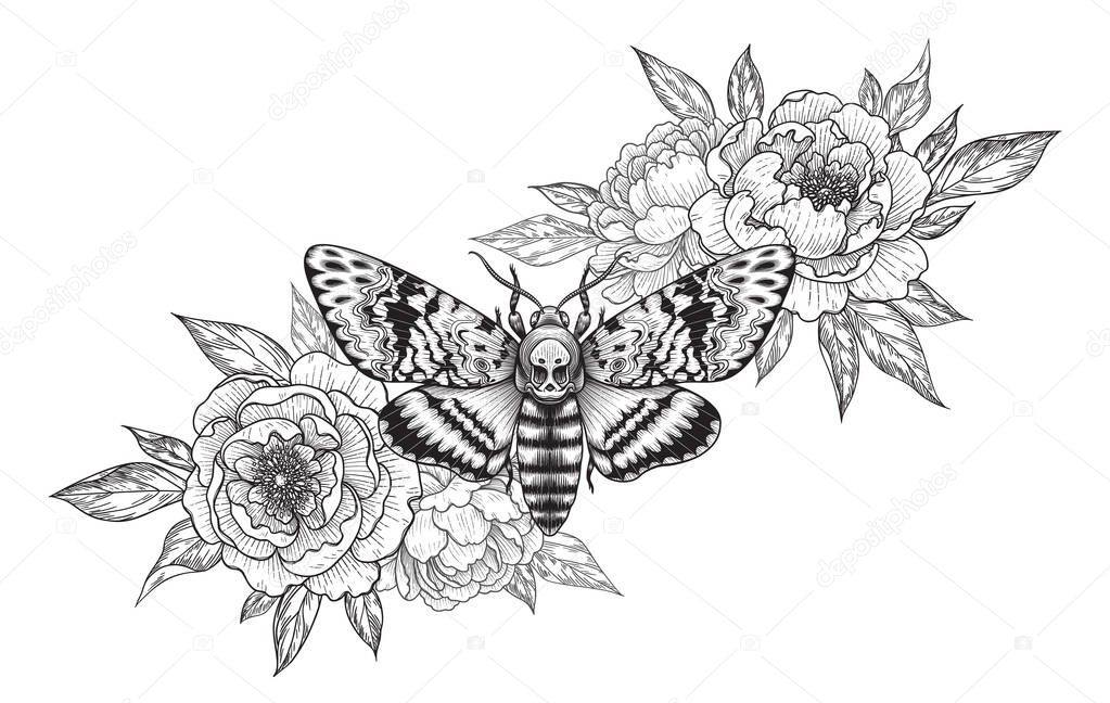 Hand drawn Acherontia Styx butterfly and Peony flowers on white. Monochrome elegant floral composition with Death's-Head Hawk Moth. Vector illustration in vintage style, tattoo art, t-shirt design.