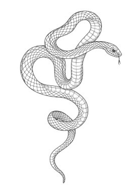 Hand drawn twisted snake isolated on blank background. Vector monochrome serpent side view. Black and white animalistic illustration in vintage style, t-shirt design, tattoo art, coloring page. clipart