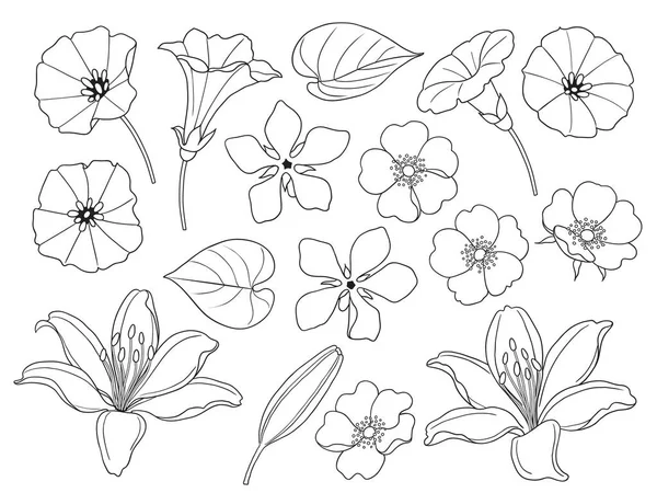 Hand Drawn Wild Flowers Set Stock Illustration by ©Valiva #263307890