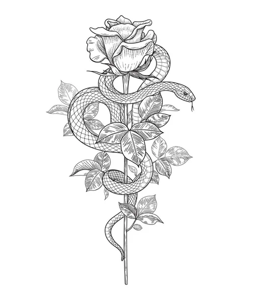 手绘扭曲的蛇和玫瑰芽在高杆上隔离在白色 矢量单色蛇和花 老式风格的花卉垂直插图 T恤衫设计 纹身艺术 彩绘页 — 图库矢量图片