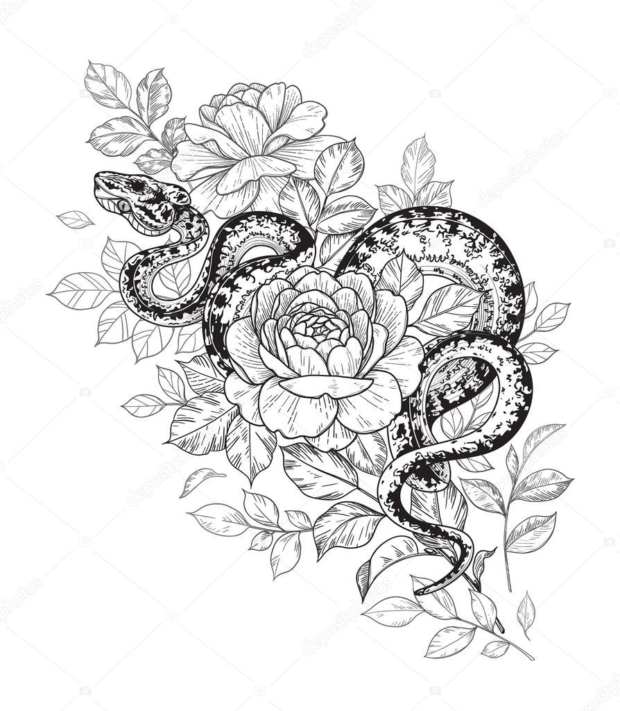 Hand drawn twisted Snake and roses isolated on white. Vector monochrome serpent and flowers. Floral illustration in vintage style, t-shirt design, tattoo art, coloring page.