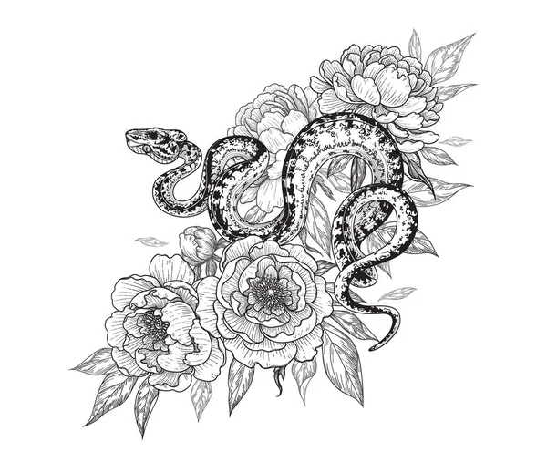 Beyazda izole edilmiş şakayık çiçekleri arasında el çizimi bir yılan. Vektör monokrom benekli bahçe ağacı boa ve şakayıklar. Klasik tarzda çiçek illüstrasyonu, tişört tasarımı, dövme sanatı, boyama sayfası.